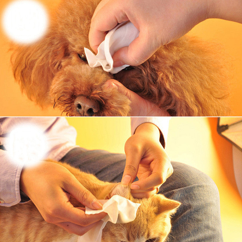 Pet Cleaning Wipes – Safe Claw & Paw Cleaner for Dogs & Cats