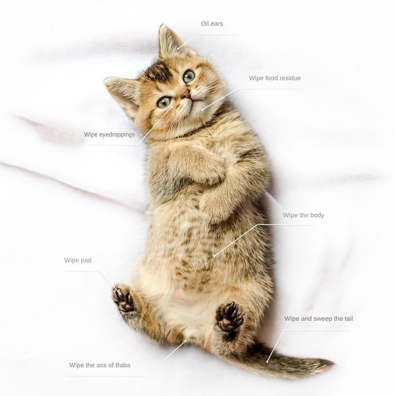 PET Cleaning  Deodorizing Bathing Wipes ForDogs And Cats, Nourish Fur Coconut OilGrooming Wipes For Dogs, Pet Cleaning GlovesWipes For Daily Care And Traveling.Hypoallergenic